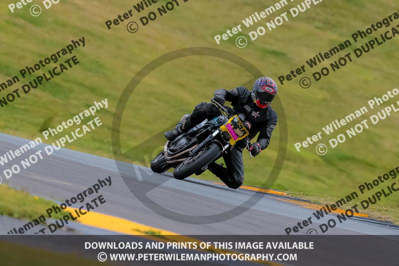 PJ Motorsport 2019;anglesey no limits trackday;anglesey photographs;anglesey trackday photographs;enduro digital images;event digital images;eventdigitalimages;no limits trackdays;peter wileman photography;racing digital images;trac mon;trackday digital images;trackday photos;ty croes